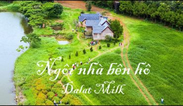 Đà Lạt milk farm Đà Lạt