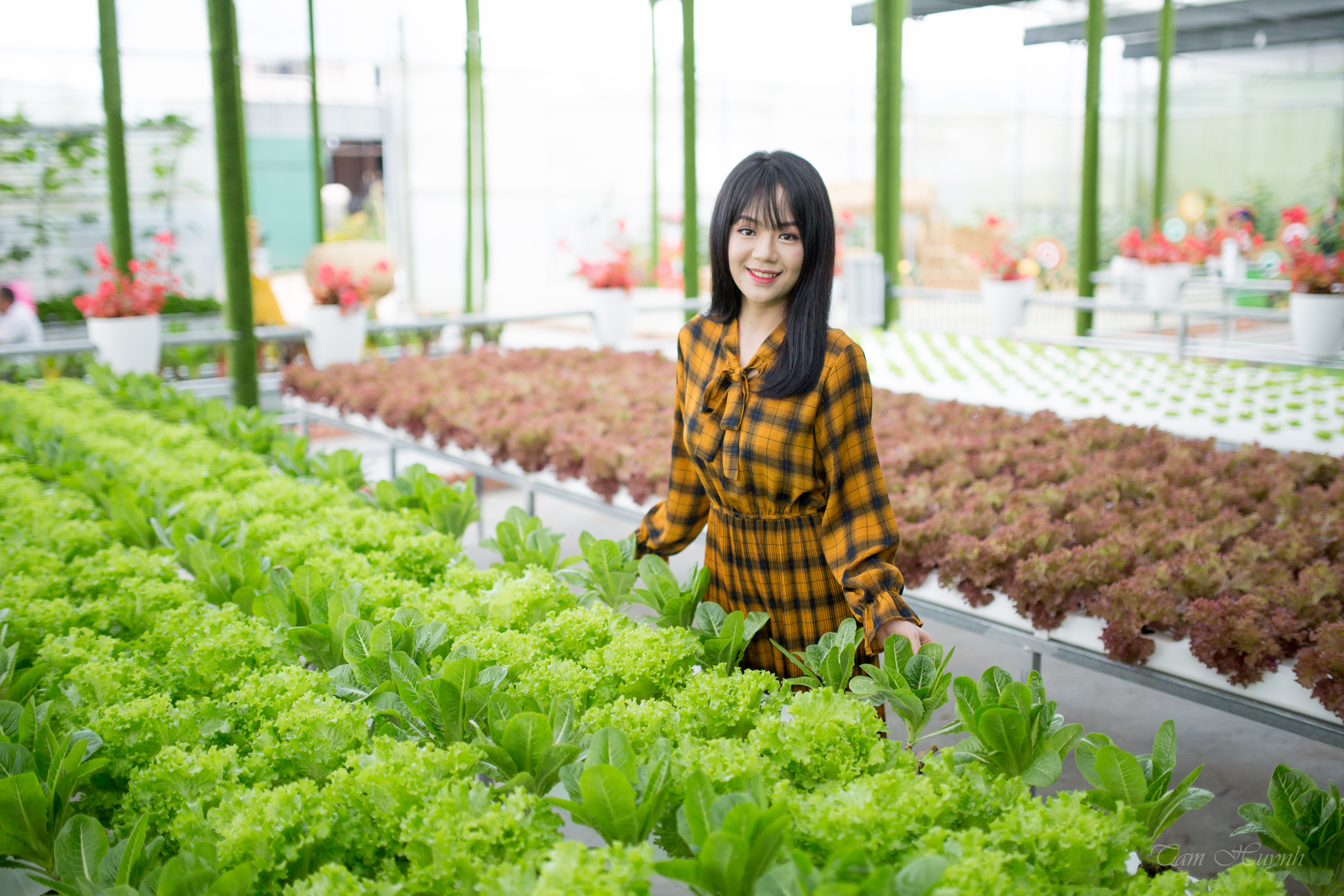 Giới thiệu Fresh Đà Lạt