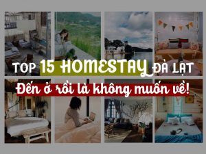 Homestay Đà Lạt gần chợ