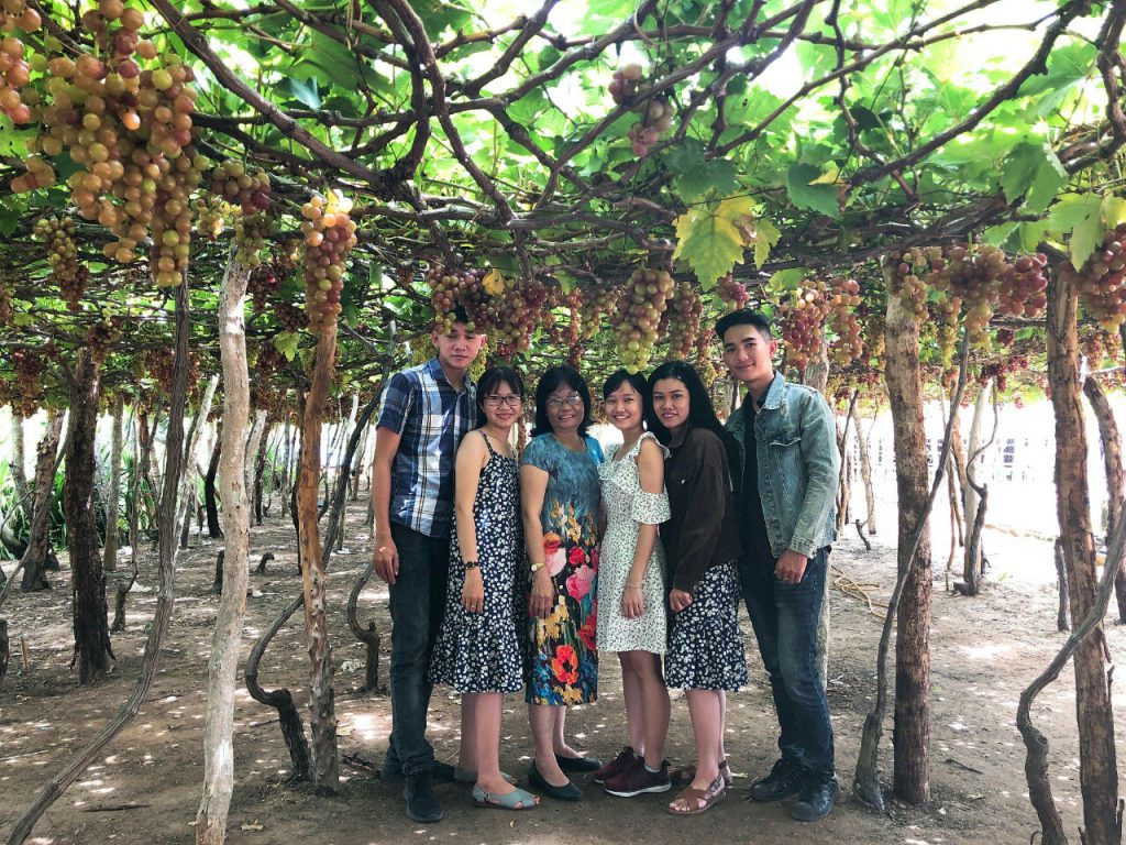 Tour vườn nho Nha Trang