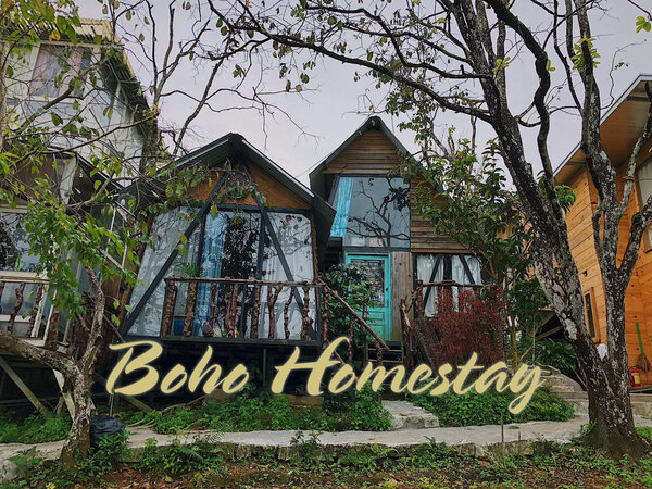 boho homestay