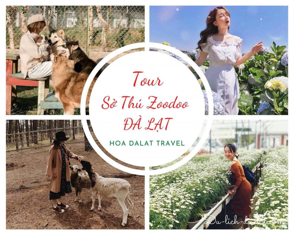 Tour sở thú zoodoo