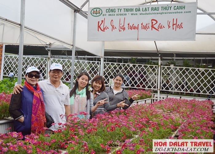 Chương trình tham quan tour Đà Lạt 1 ngày