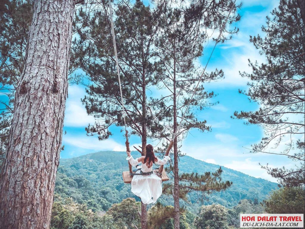 góc sống ảo ở hoa sơn điền trang