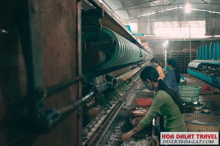 Làng nghề dệt lụa tơ tằm Đà Lạt