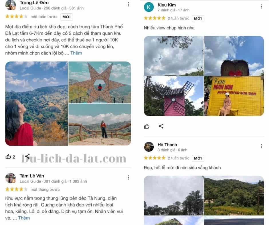 Review hoa sơn điền trang