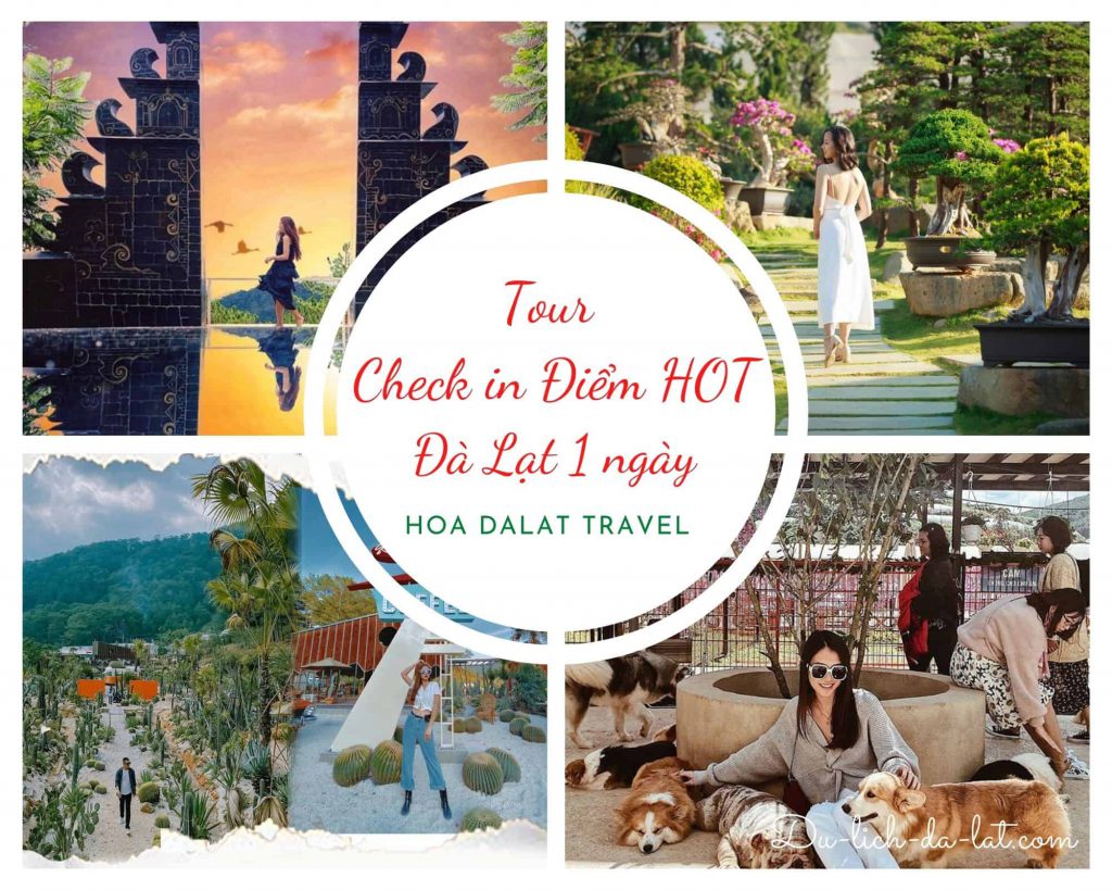 Tour check in điểm hot Đà Lạt