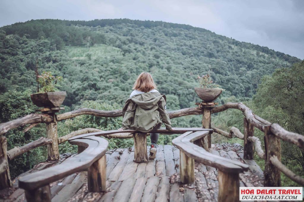 Tour hoa sơn điền trang Đà Lạt
