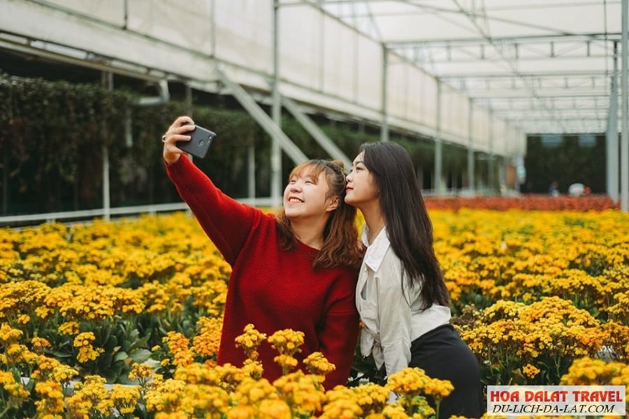 Trang trại rau và hoa Đà Lạt