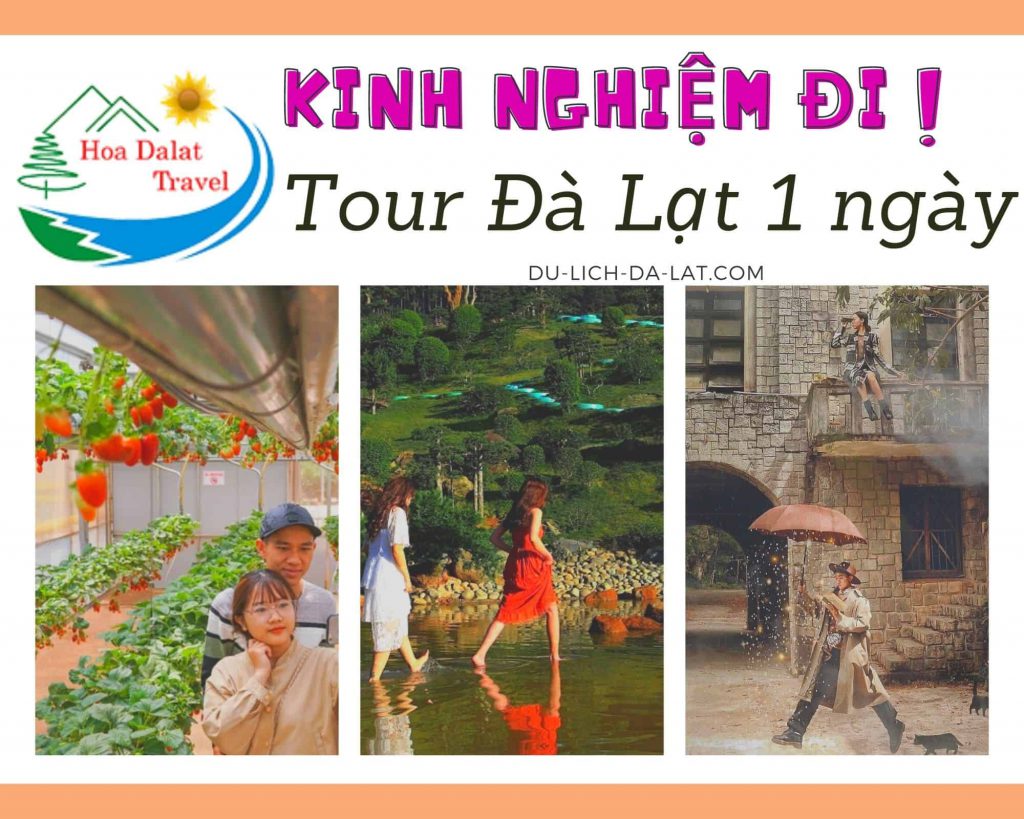 Kinh nghiệm đi tour Đà Lạt 1 ngày
