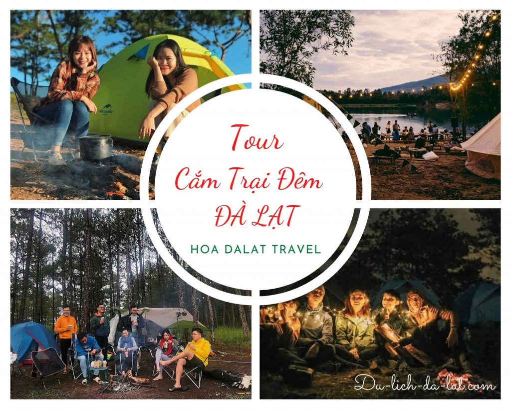 Tour cắm trại đêm Đà Lạt