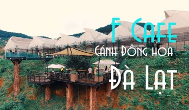 Cafe F Cánh đồng hoa Đà Lạt