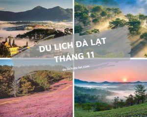 Du lịch Đà Lạt tháng 11