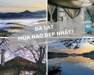 Đà Lạt mùa nào đẹp nhất