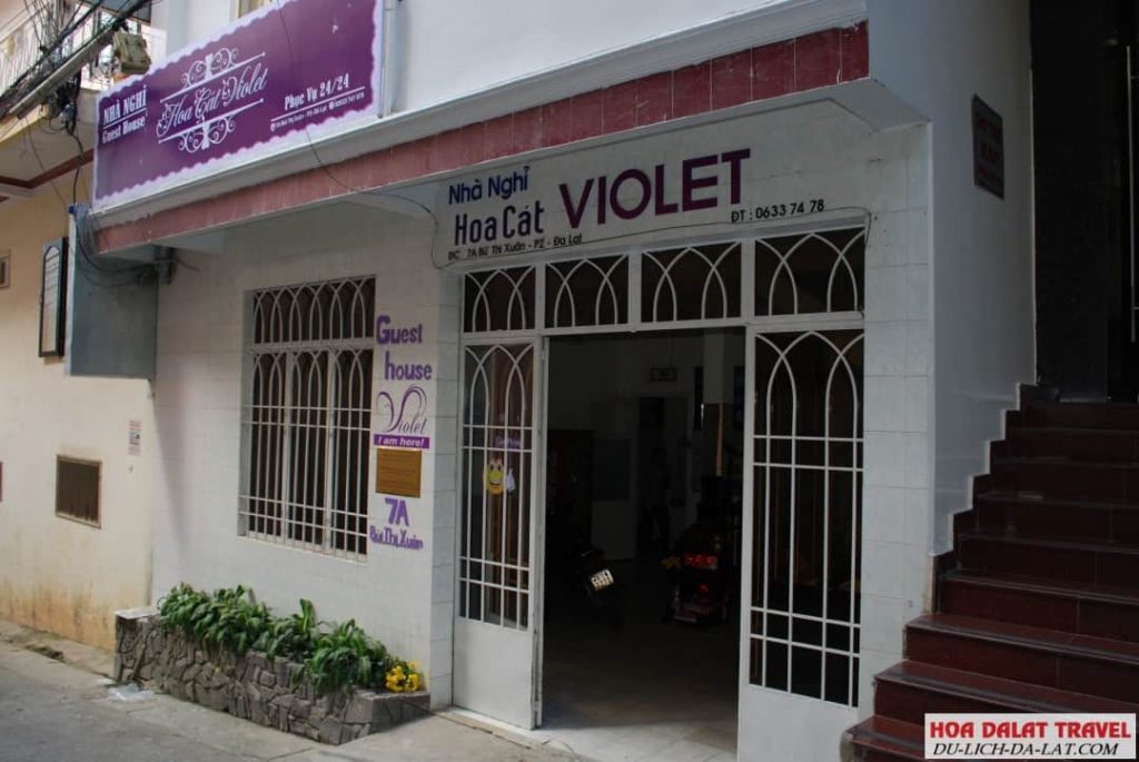 Khách sạn Hoa Cát Violet