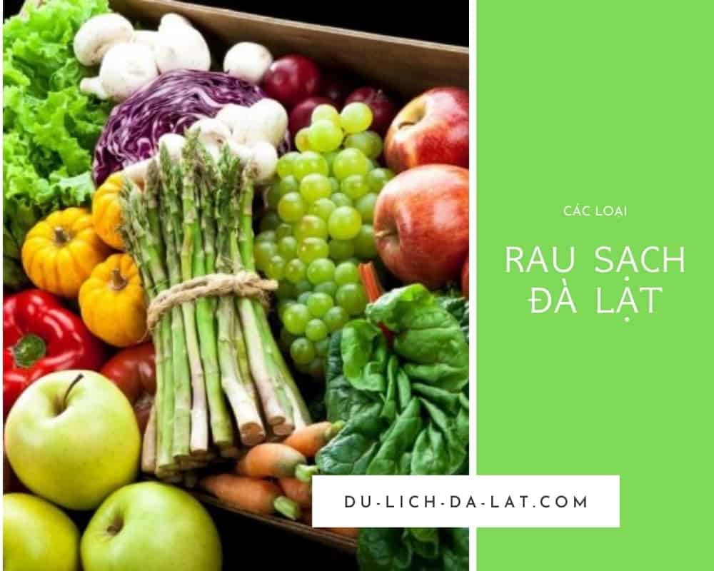 Rau sạch Đà Lạt