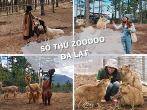 Sở thú Zoodoo Đà Lạt