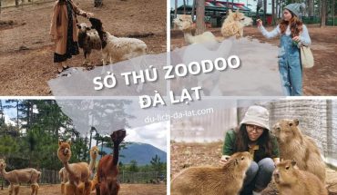 Sở thú Zoodoo Đà Lạt