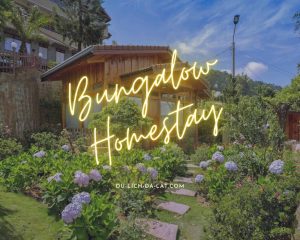 Bungalow Homestay