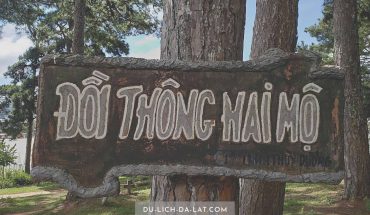 Đồi thông hai mộ