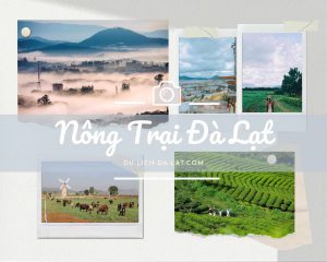 Nông trại Đà Lạt