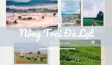 Nông trại Đà Lạt