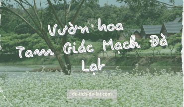 Vườn hoa Tam Giác Mạch