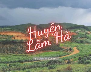 Huyện Lâm Hà