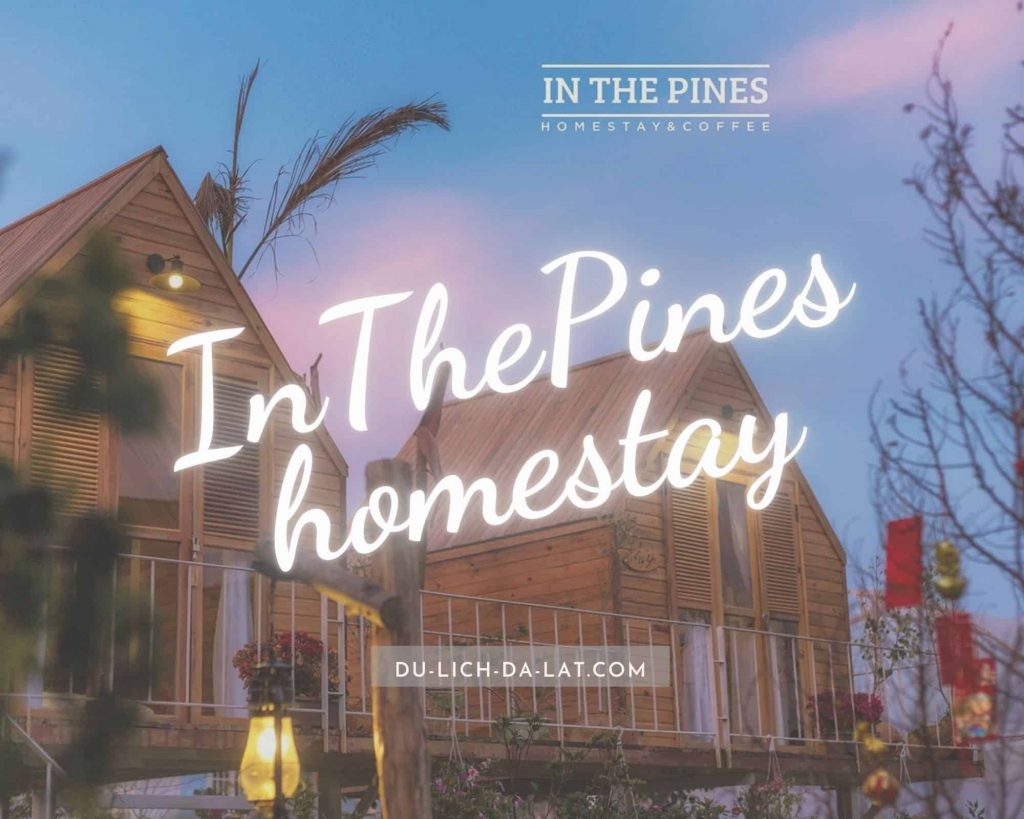 InThePines homestay