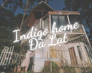 Indigo home Đà Lạt