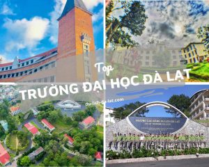 Top trường Đại học Đà Lạt