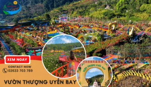 Vườn Thượng Uyển Bay Đà Lạt