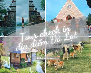 Check in địa điểm Đà Lạt