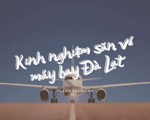 Kinh nghiệm săn vé máy bay Đà Lạt