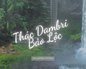 Thác Dambri Bảo Lộc