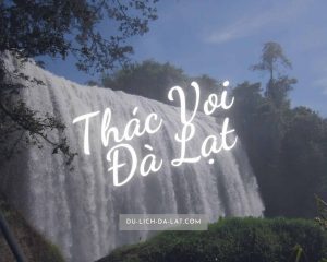 Thác Voi Đà Lạt