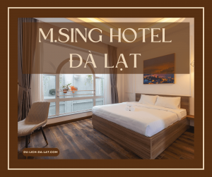 M.Sing Hotel Đà Lạt