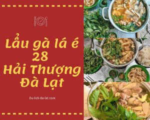 Lẩu gà lá é 28 Hải Thượng Đà Lạt