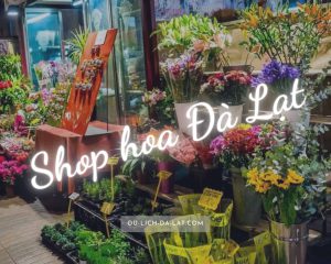 Shop hoa Đà Lạt