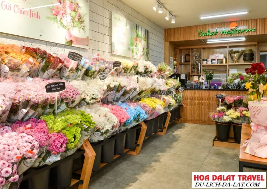 Shop hoa tươi Đà Lạt Hasfarm