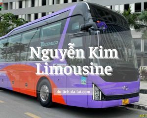 Nhà Xe Nguyễn Kim Limousine