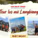Tour leo núi Langbiang