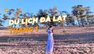 Du lịch Đà Lạt tháng 1