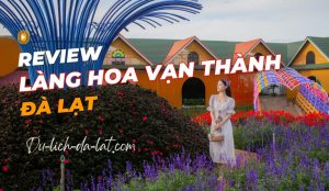 Làng hoa Vạn Thành Đà Lạt