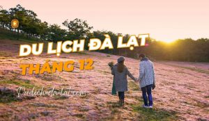 Du lịch Đà Lạt tháng 12