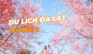 Du lịch Đà Lạt tháng 2