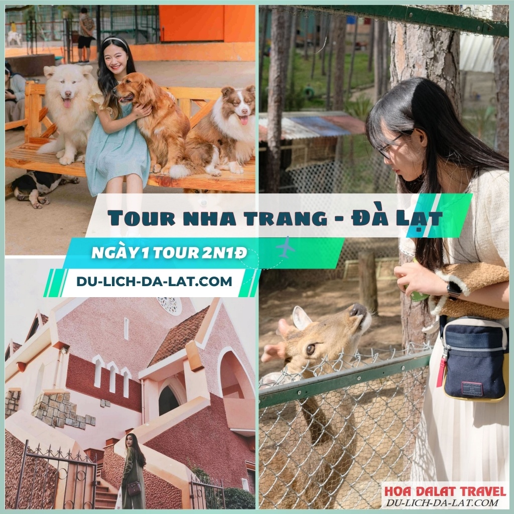Lịch trình ngày 1 tour Nha Trang Đà Lạt 2N1Đ