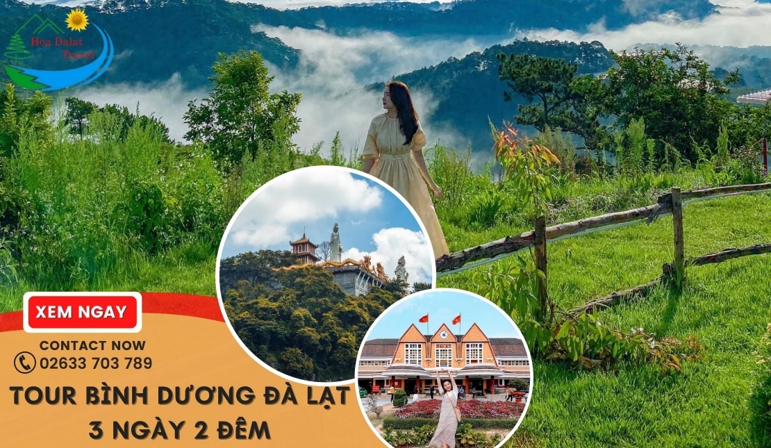 Book Ngay Tour Bình Dương Đà Lạt 3 Ngày 2 đêm 2024 Giá Rẻ Trọn Gói