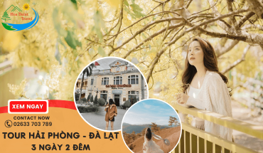 Tour Hải Phòng Đà Lạt 3 ngày 2 đêm