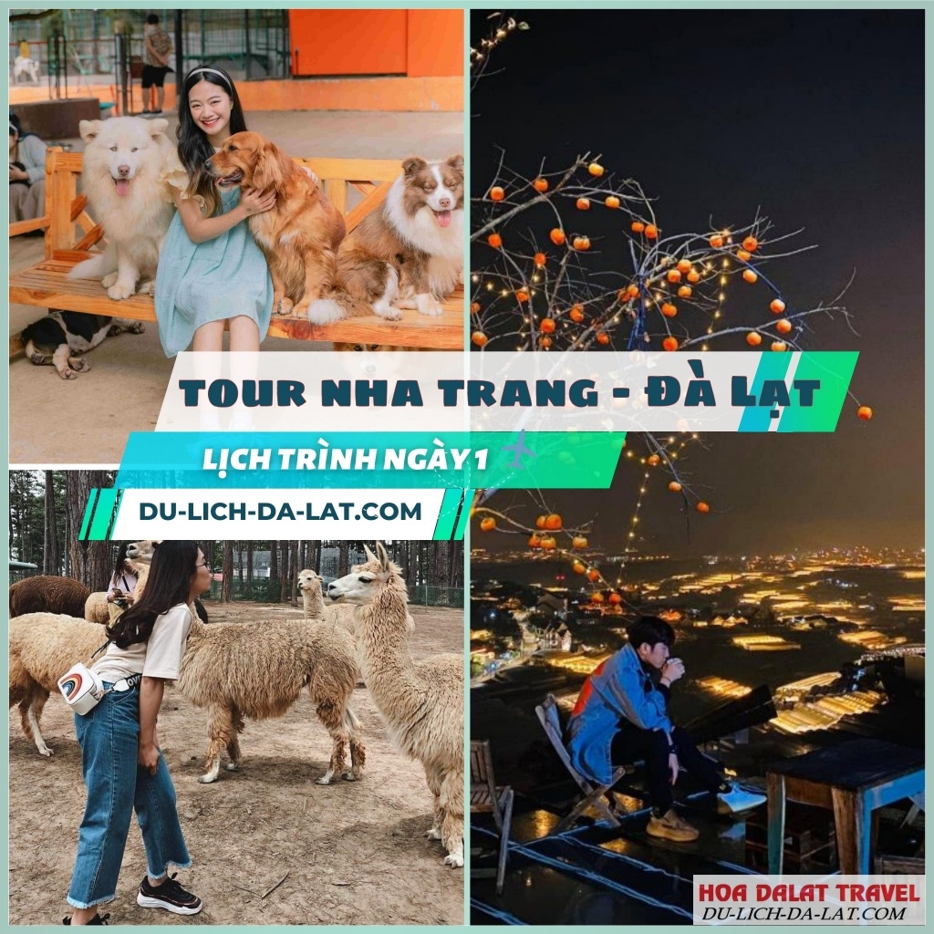 Lịch trình ngày 1 tour Nha Trang Đà Lạt 4N3Đ